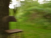 DSC08042.JPG